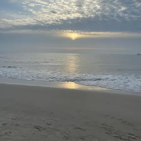 Strandkoenig-westerland-terrasse-mit-garten-strandnaehe-pkw-stellplatz 公寓